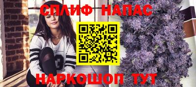 ECSTASY Вышний Волочёк